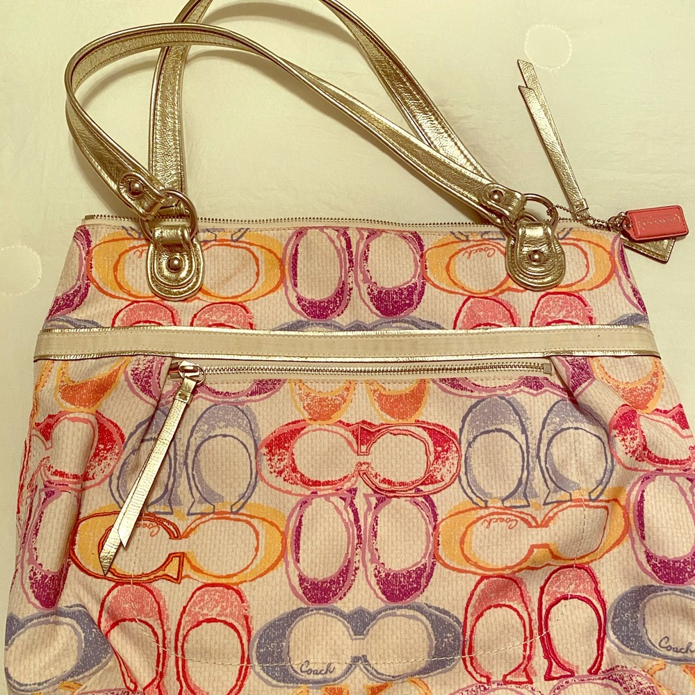 COACH SIGNATURE DREAM